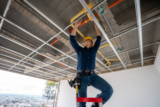 Best Plumbing Repair Near Me  in West Liberty, WV
